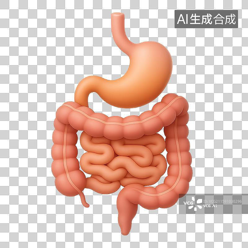 【AI数字艺术】肠胃图片素材