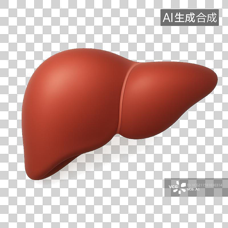 【AI数字艺术】肝脏图片素材