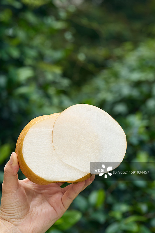 秋月梨 新鲜秋月梨 莱阳秋月梨 秋月梨素材 山东秋月梨 冰糖丰水梨 丰水梨 梨子 黄金梨 黄梨图片素材