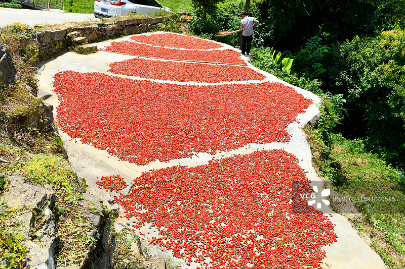 晒辣椒图片素材