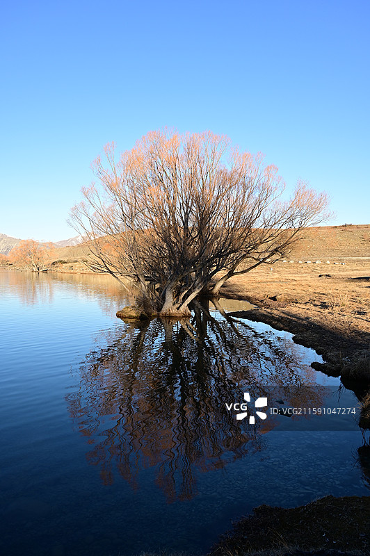 新西兰蒂卡波Lake Tekapo Lake McGregor图片素材