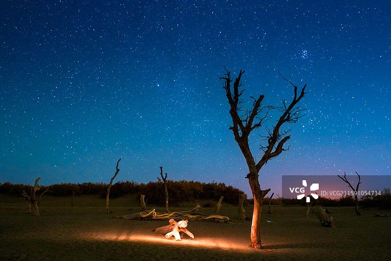 沙漠胡杨林中的暗夜精灵图片素材