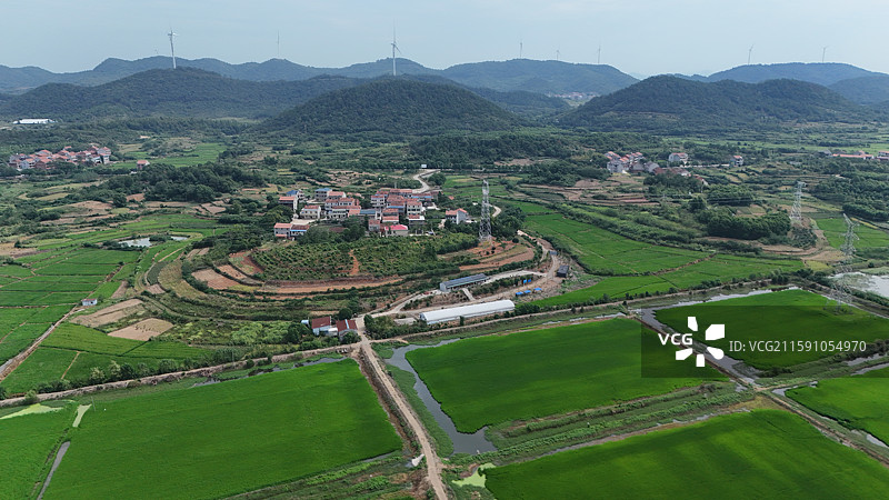 绿色田园风光（航拍武穴市一秀家庭农场）图片素材