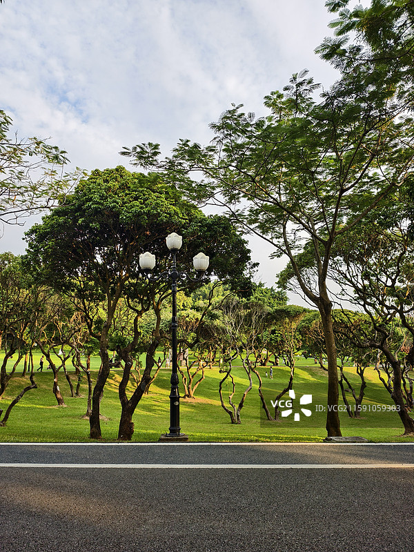 深圳中山公园图片素材