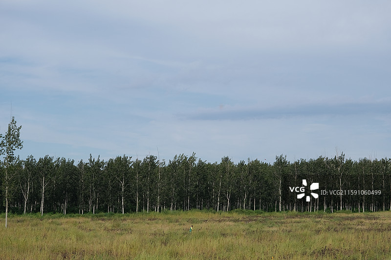北京南苑森林湿地公园自然风光图片素材