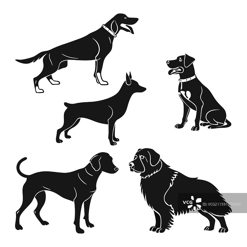 各种犬种的黑色剪影图片素材