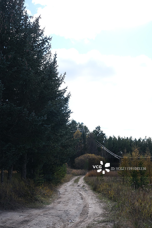 河北承德围场御道口草原森林风景区自然风光图片素材
