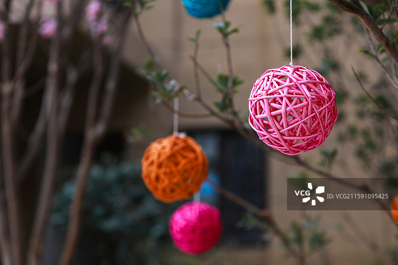 树枝上的缤纷希望图片素材