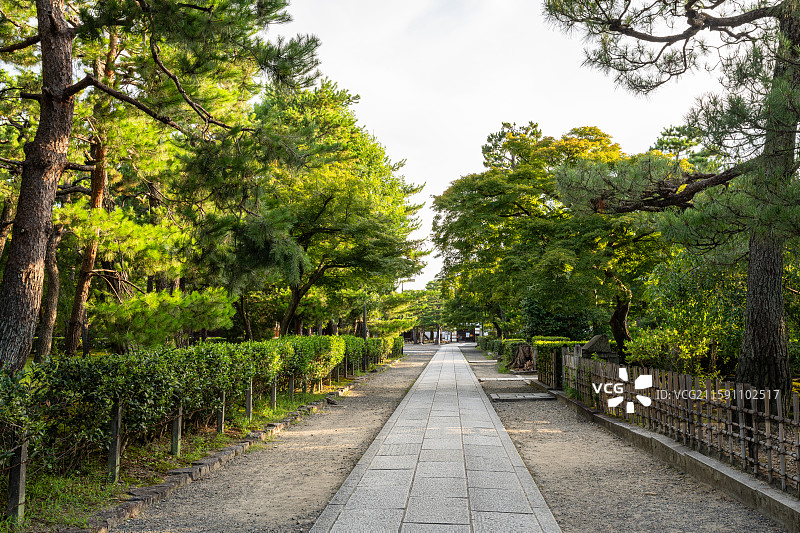 夏季京都建仁寺参道石板大道与松林图片素材