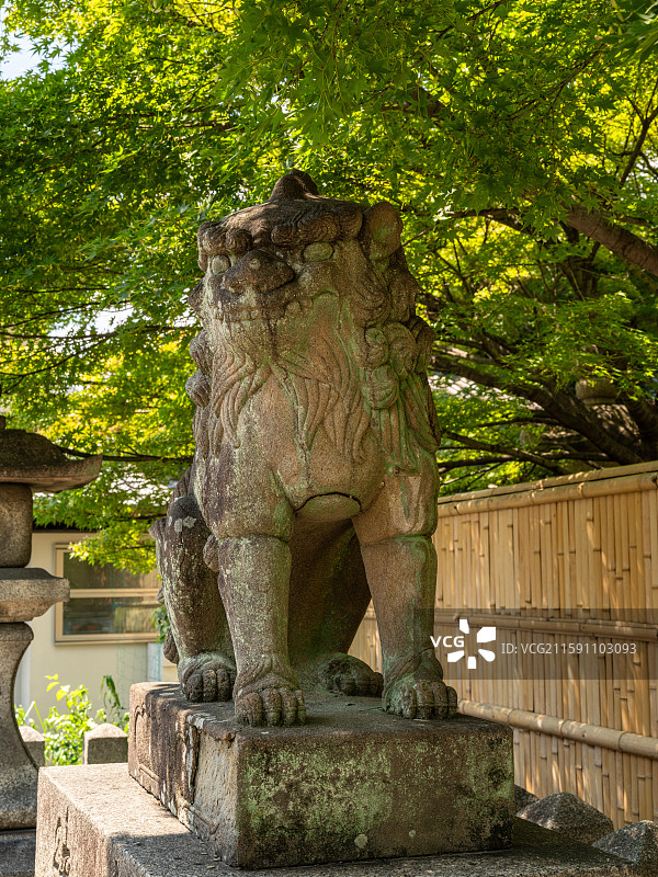 建仁寺夏日石狮守护像图片素材