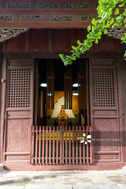 中国山东济南泰安泰山旅游著名景点千年古刹大灵岩寺,古老银杏树绿色树枝特写，户外白昼无人图像摄影图片素材