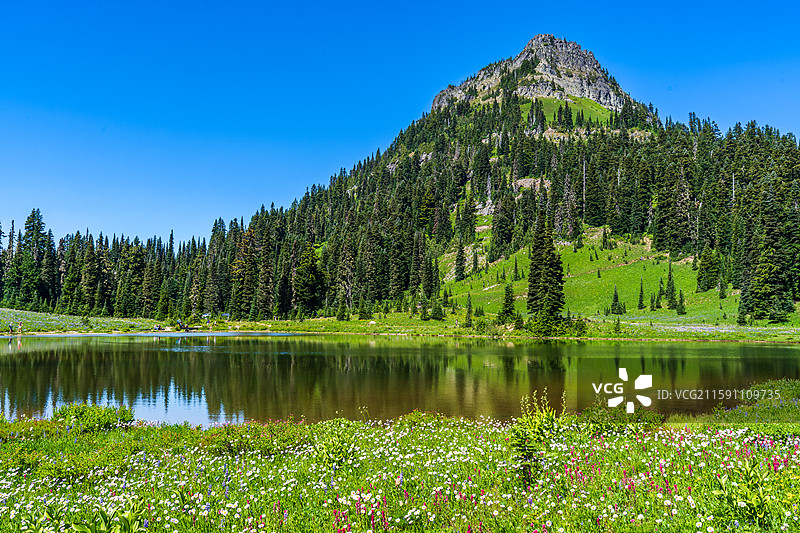 美国 Mt Rainer 雷尼尔山国家公园图片素材