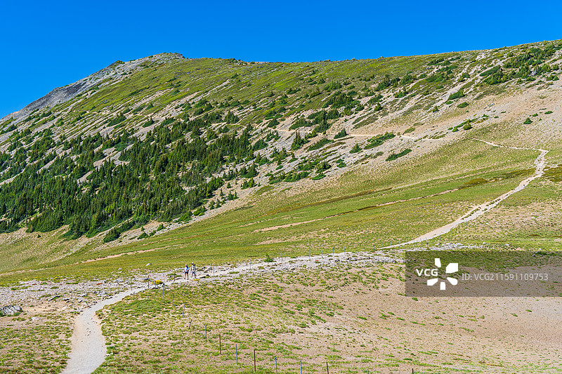 美国 Mt Rainer 雷尼尔山国家公园图片素材