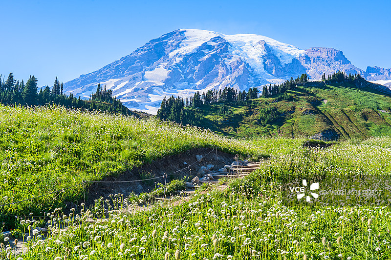美国 Mt Rainer 雷尼尔山国家公园图片素材
