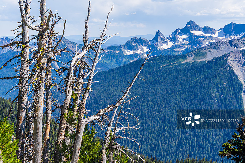美国 Mt Rainer 雷尼尔山国家公园图片素材
