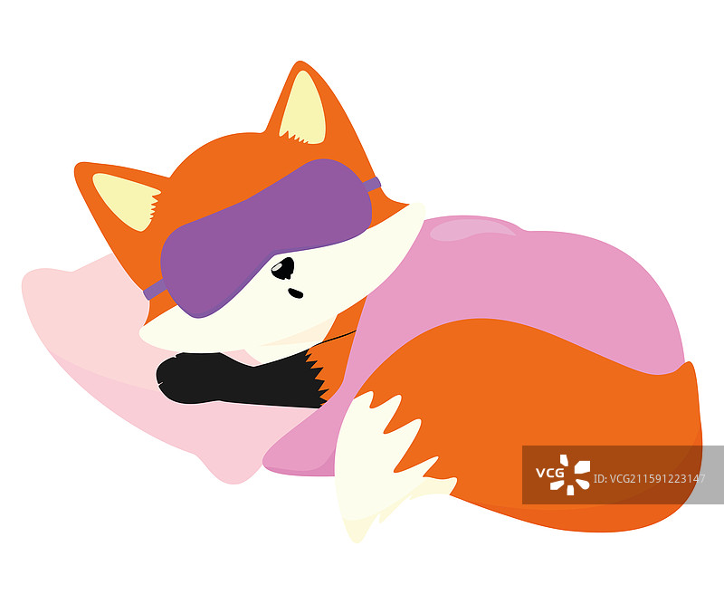 一只被毯子包裹的小狐狸在枕头上睡觉图片素材