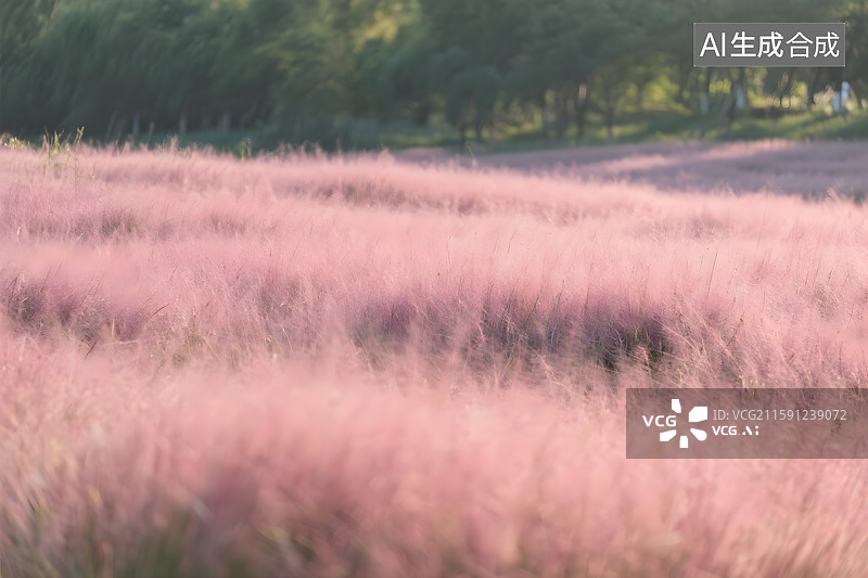【AI数字艺术】粉黛乱子草的浪漫花海图片素材