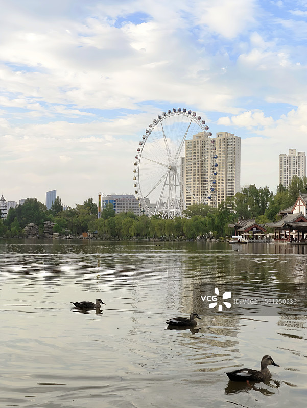 西宁人民公园图片素材