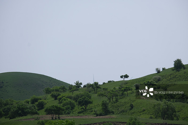 河北承德围场御道口草原森林风景区自然风光图片素材