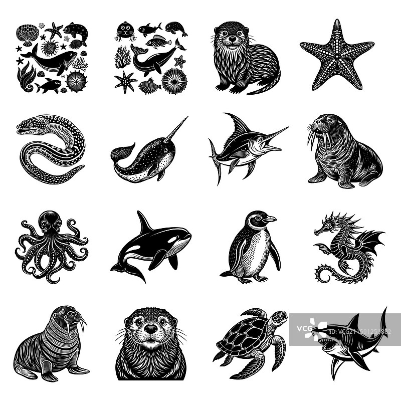 海洋动物组合图片素材