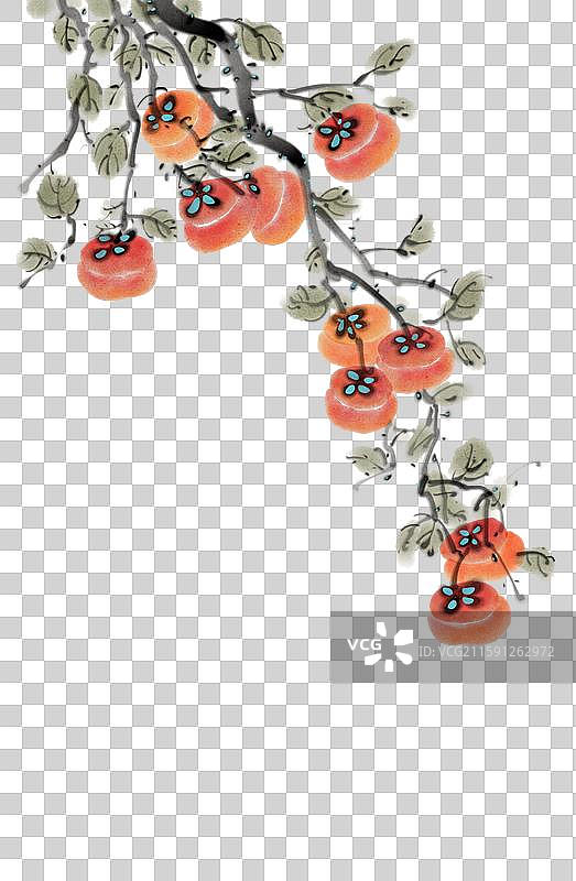 柿子，水墨画，写意画，中国画，柿子树，柿柿如意元素图片素材