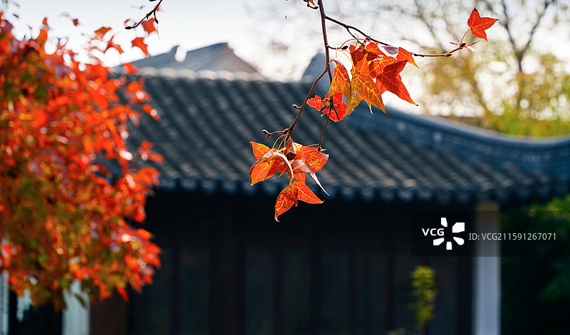 一隅秋谧图片素材