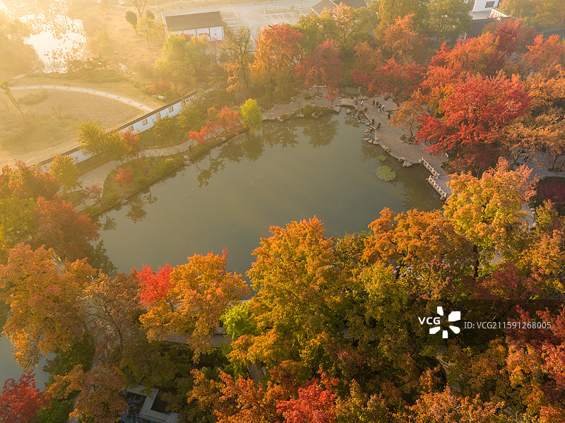 苏州天平山湖畔秋意浓，红叶黄叶相映，石桥步道古朴，行人漫步享受秋日暖阳。图片素材