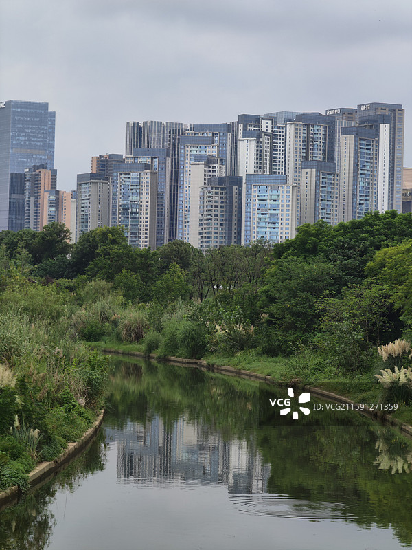 成都城市公园桂溪公园小河城市建筑倒影图片素材