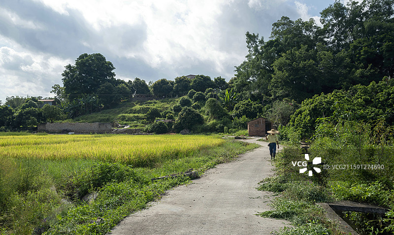 广东德庆县乡间风光图片素材
