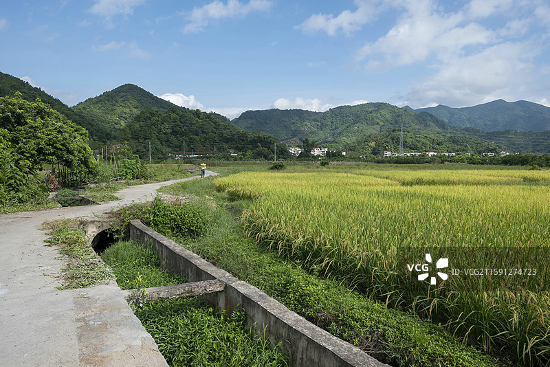 广东德庆县乡间风光图片素材