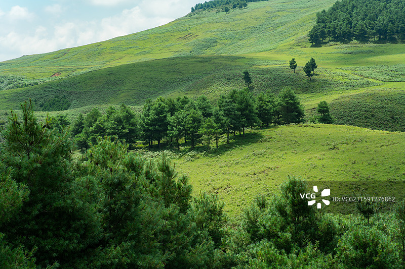 寻甸阿磨阁高山草场徒步线路图片素材