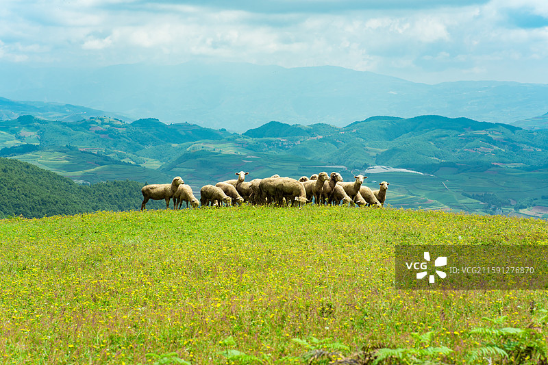 寻甸阿磨阁高山草场徒步线路图片素材