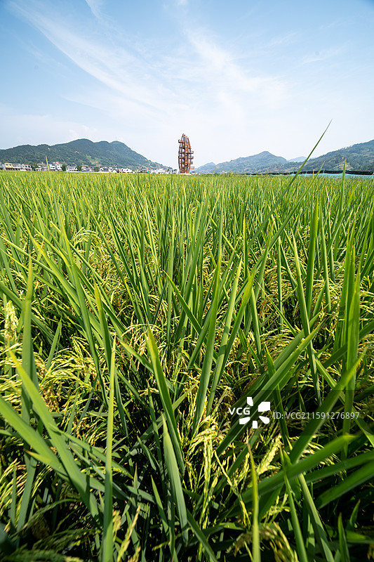 乡村振兴兴文县共乐镇图片素材