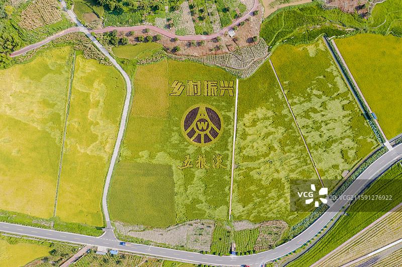 俯瞰乡村振兴五粮液乡村稻画兴文县水泸坝图片素材