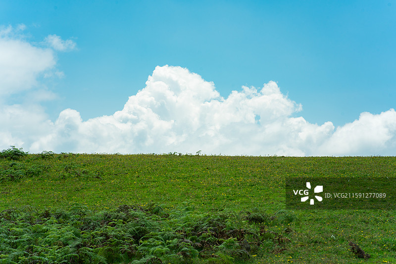 寻甸阿磨阁高山草场徒步线路图片素材