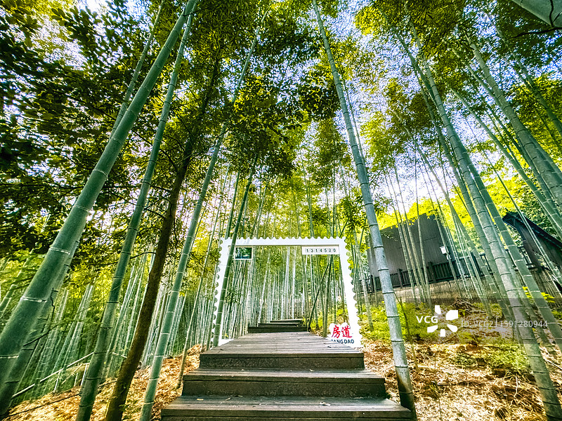 福建建瓯，房道镇西沶村千竹园图片素材