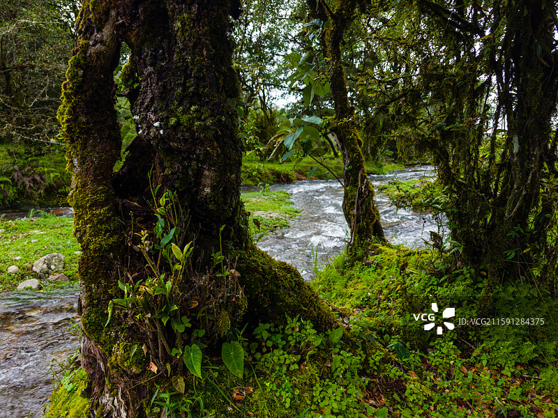 云南省德宏州盈江县诗蜜娃底风景区图片素材