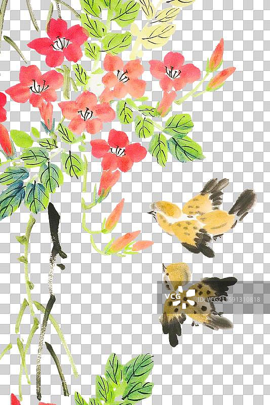 凌霄花 麻雀 水墨画 元素 点缀图片素材