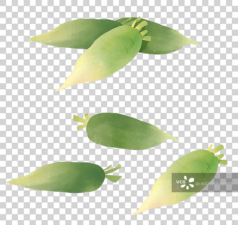 小雪节气插画腌酸菜插画元素绿萝卜图片素材