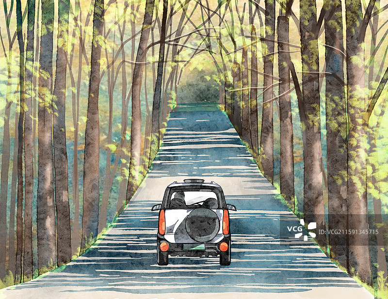 行驶在秋天的树林里图片素材