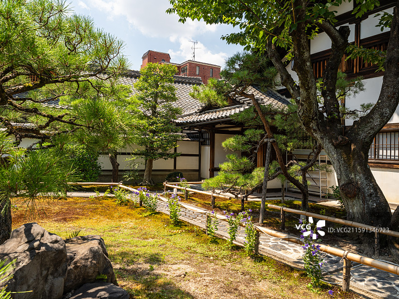 建仁寺夏季庭园绿荫景观图片素材