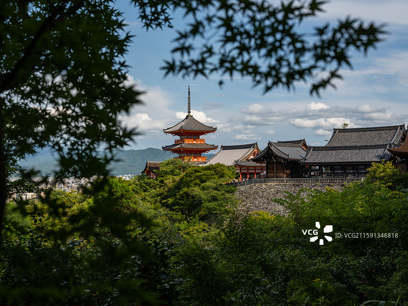 京都清水寺三重塔掩映于夏季枝叶图片素材