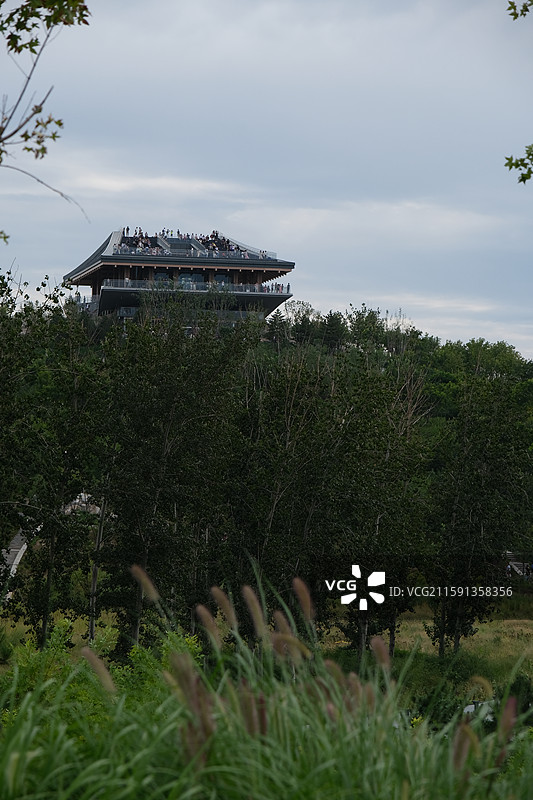 北京南苑森林湿地公园自然风光图片素材