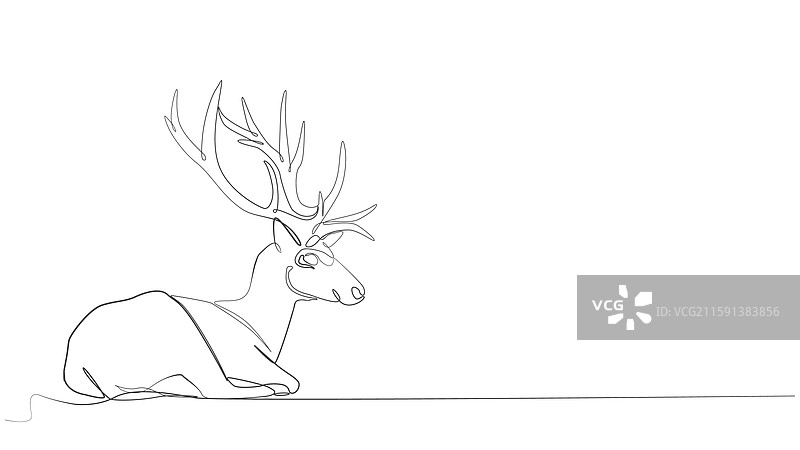 鹿的线条艺术图标，连续的单线绘图图片素材