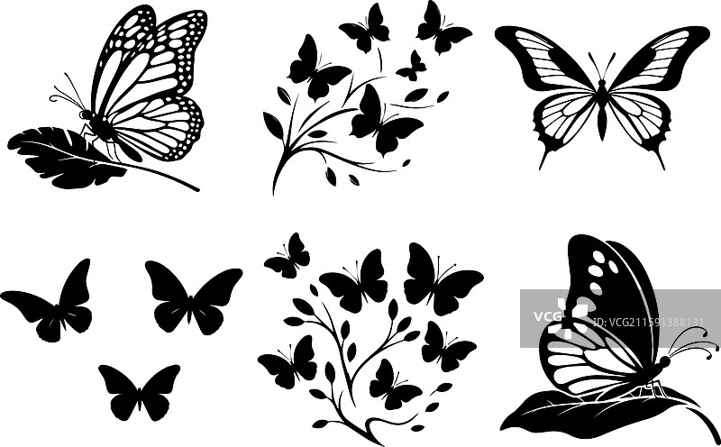 蝴蝶剪影套装图片素材