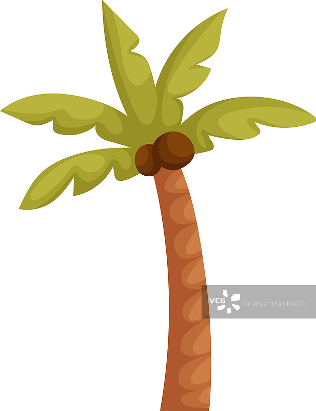 热带棕榈树的多彩卡通画图片素材