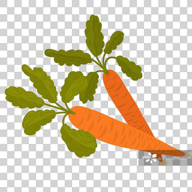 胡萝卜图片素材