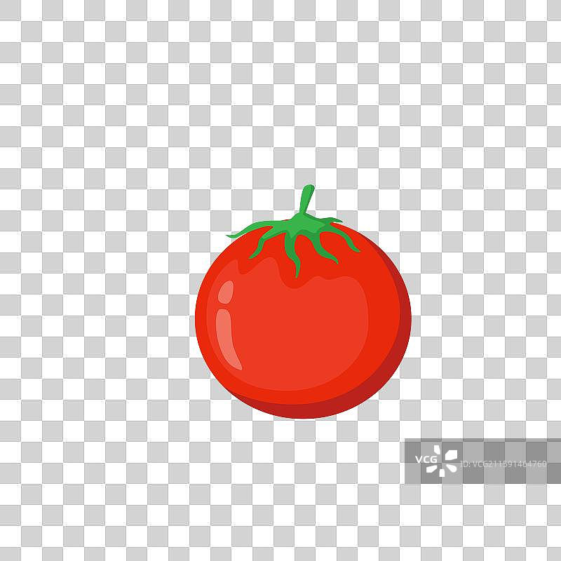 西红柿图片素材