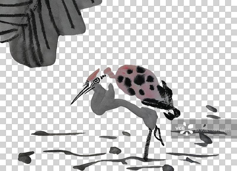 高雅禅意手绘国画水墨 寒露 鸟 秋天图片素材