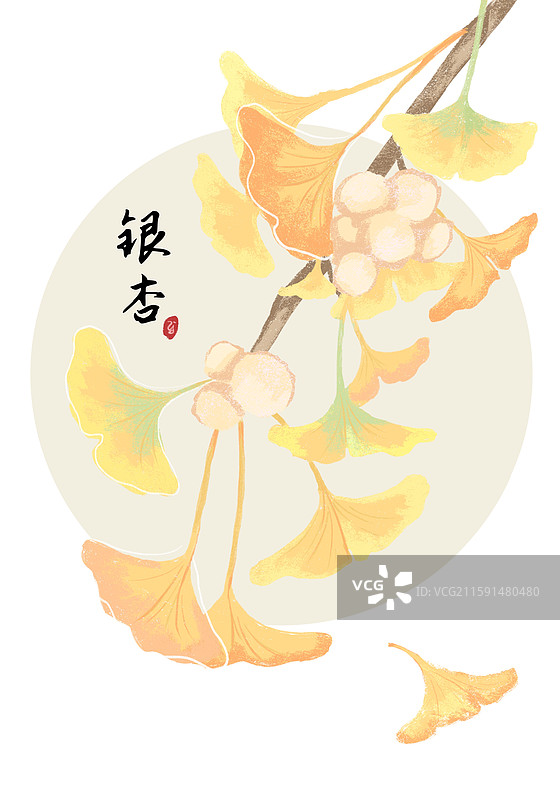 银杏叶白果植物手绘秋天节气元素高清插画图片素材